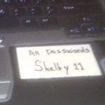 Password_Shelby11